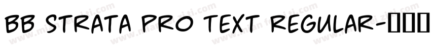 BB Strata Pro Text Regular字体转换